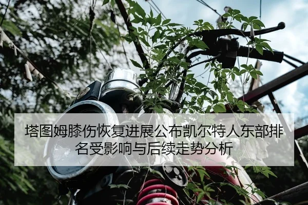 塔图姆膝伤恢复进展公布凯尔特人东部排名受影响与后续走势分析